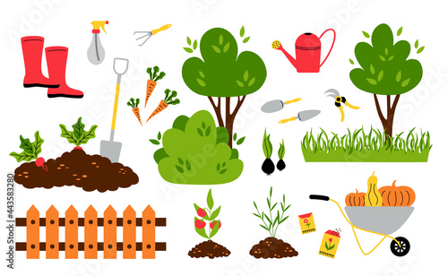 Garden inventory. Cartoon seeds plans seedlings bushes and trees, garden tools for ground and soil work. Vector isolated set