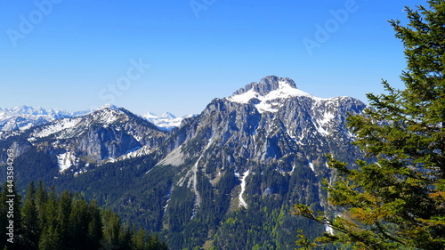 herrlicher Blick vom Tegelberg zum Säuling mit Schnee im Allgäu unter blauem Himmel mit Wald und Fichte © globetrotter1