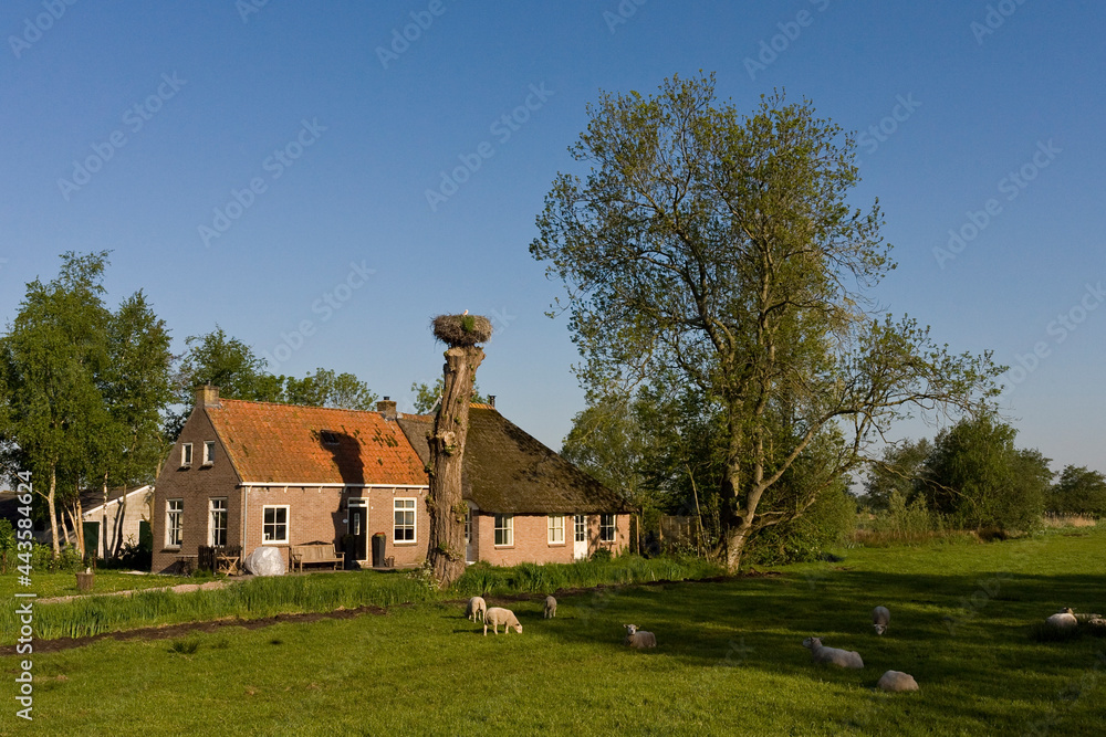 Fototapeta premium Boerderij in Rottige Meente, Farm at Rottige Meente