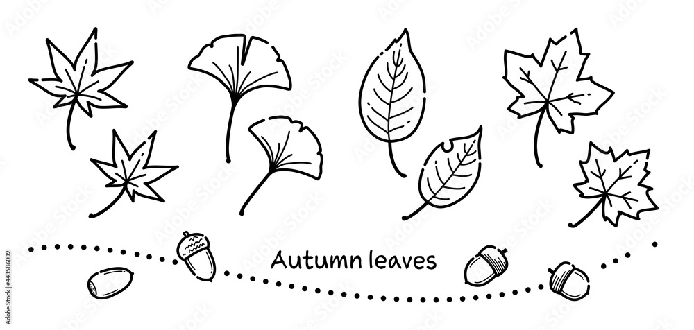 シンプルな線で描いた秋の落葉のイラスト モノクロ Stock Vector Adobe Stock