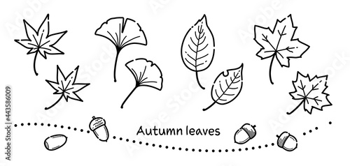 シンプルな線で描いた秋の落葉のイラスト（モノクロ）