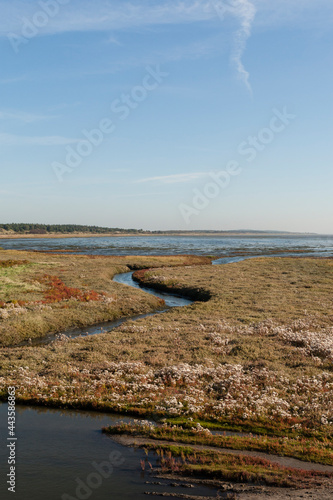 Getijdengebied, Tidal plains photo