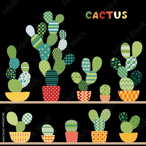 Collection of cactuses in pots on shelves. Plants in patchwork style.