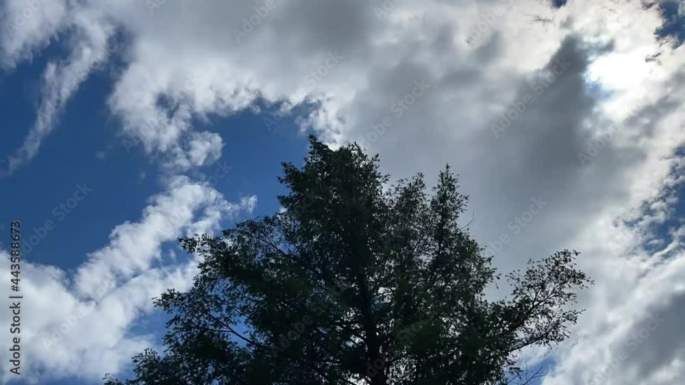 Time lapse of passing clouds with tree in foreground Time lapse of passing clouds with tree in foreground