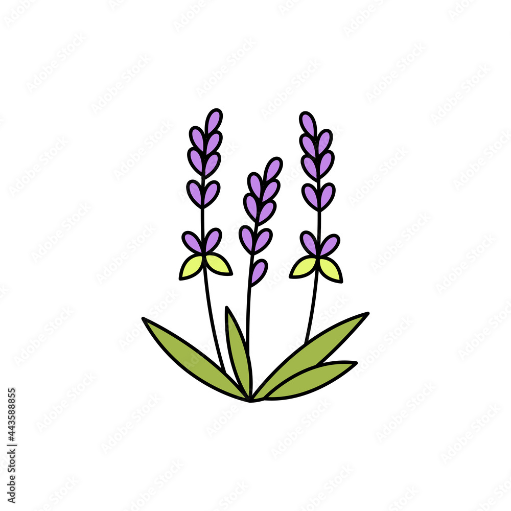 Lavender olor line icon. Essential oils. Pictogram for web page, mobile app, promo. Lavender olor line icon. Essential oils. Pictogram for web page, mobile app, promo.