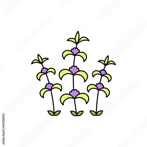 Melissa olor line icon. Essential oils. Pictogram for web page, mobile app, promo.