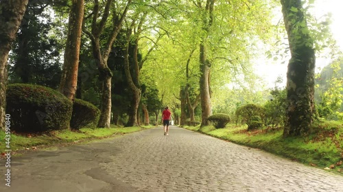Wallpaper Mural Man walking on road between trees in park, Sao Miguel island, Azores, Portugal Torontodigital.ca