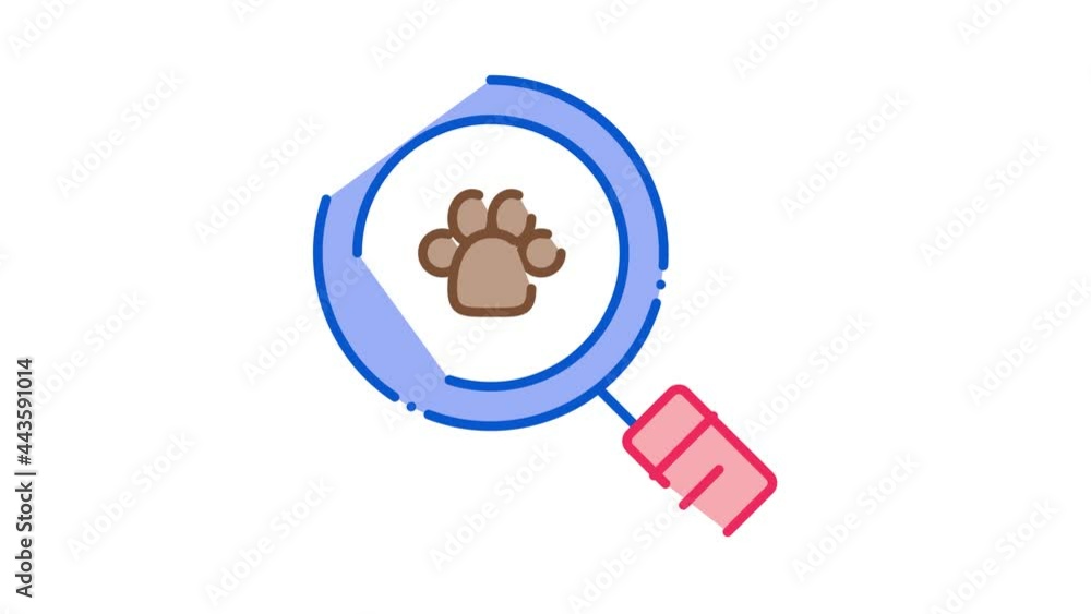 Footprint Search Icon Animation. color Footprint Search animated icon on white background Footprint Search Icon Animation. color Footprint Search animated icon on white background