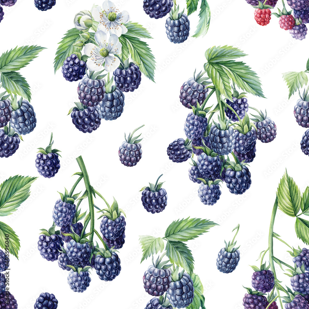 Seamless pattern, berry background, branches of blackberries