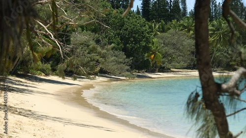 Rack focus shot of Kanumera Beach on Isle of Pines through tree branches. photo