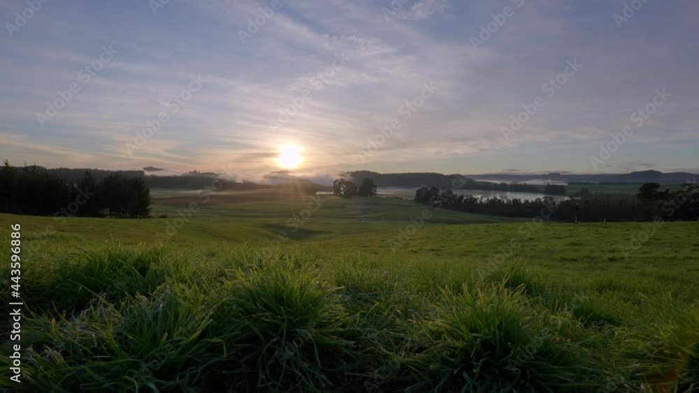 Dew covered grass field during dreamy morning sunrise in rural landscape Dew covered grass field during dreamy morning sunrise in rural landscape