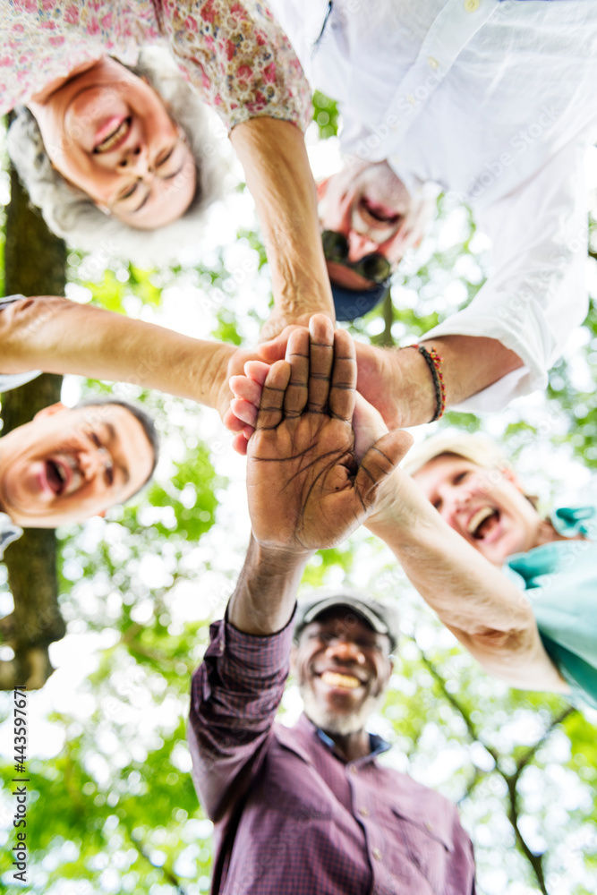 Fototapeta premium Group of diverse seniors in the park teamwork concept