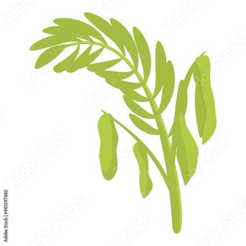 Lentil plant icon cartoon vector. Bean lentil plant. Vegetable seed stem
