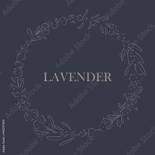Hand drawn of Lavender flower, vector illustration 