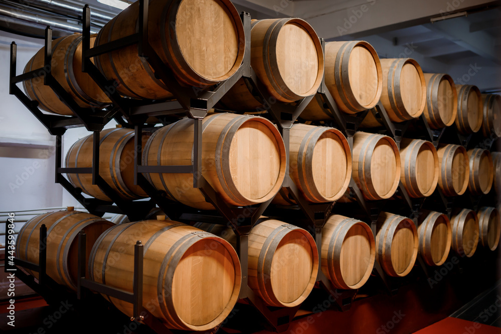 Old aged traditional wooden barrels with wine in a vault lined up in cool and dark cellar in Italy, Porto, Portugal, France Old aged traditional wooden barrels with wine in a vault lined up in cool and dark cellar in Italy, Porto, Portugal, France