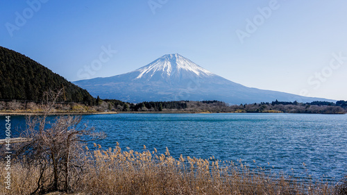 田貫湖から見渡す冬の富士山