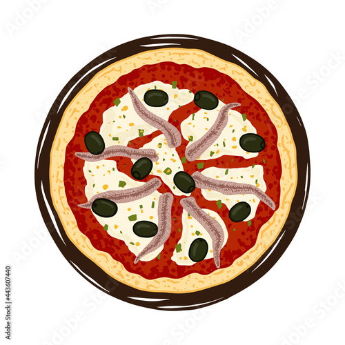 Vector illustration of hand drawn Anchovy pizza. Tasty Italian pizza topped with marinara sauce, mozzarella cheese, anchovies, black olive, olive oil and oregano.