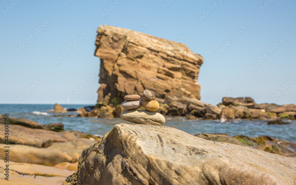'Charley's Garden' is a sandstone sea stack in Collywell Bay, Seaton Sluice, Northumberland, and as the story goes, 
got its name from the person who cultivated the top of it before the sea eventually