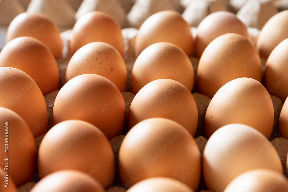 fresh eggs in a carton box from agriculture farm. fresh eggs in a carton box from agriculture farm.