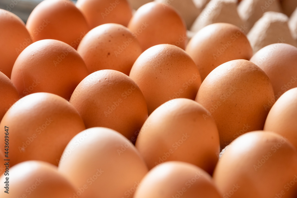 fresh eggs in a carton box from agriculture farm.