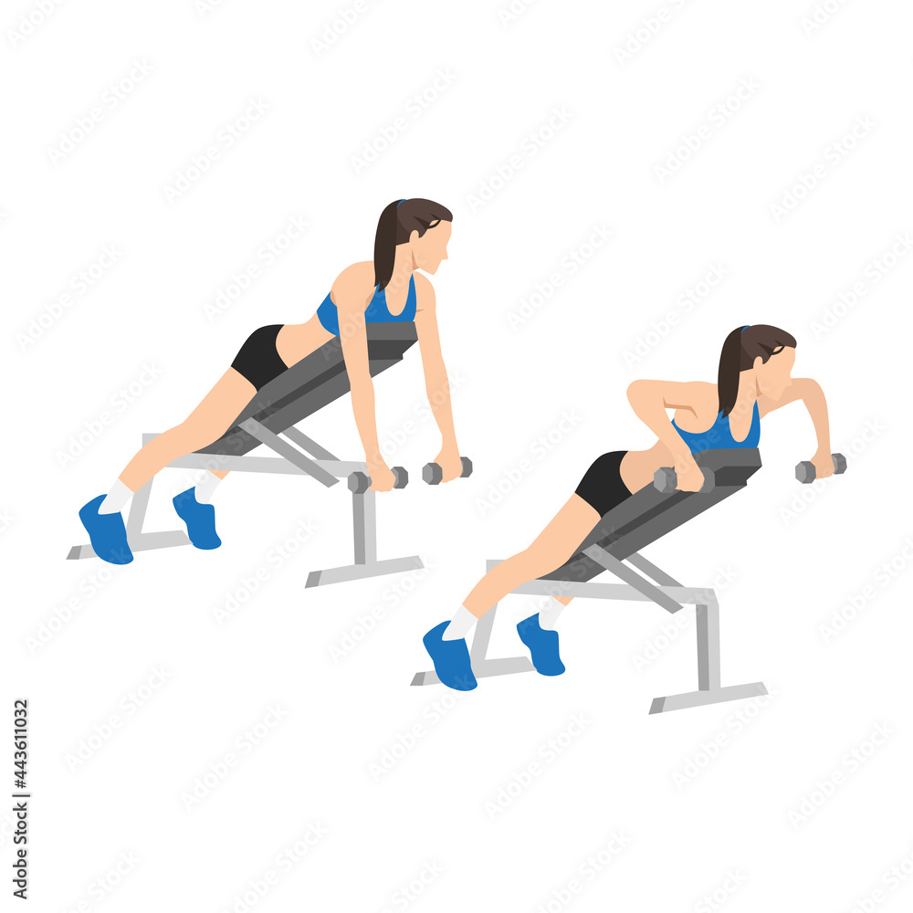Woman doing Dumbbell incline bench rows.exercise. Flat vector illustration isolated on white background Woman doing Dumbbell incline bench rows.exercise. Flat vector illustration isolated on white background