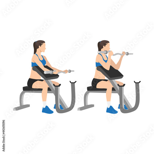 Woman doing Ez bar preacher curls  exercise. Flat vector illustration isolated on white background