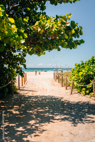Fototapeta Naklejka Na Ścianę i Meble -  beach with palm trees and sea Miami Florida travel vacation 
