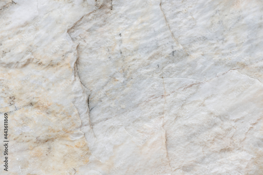 Fototapeta premium White marine rock texture background