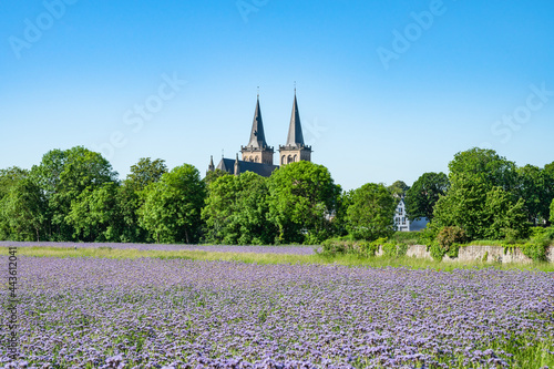 Obraz na płótnie Stadtansicht von Xanten am Niederrhein mit Blumenfeld im Vordergrund w salonie