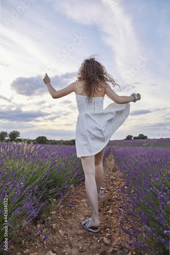 Fototapeta Naklejka Na Ścianę i Meble -  Woman in a white dress walks and has fun in the lavender fields