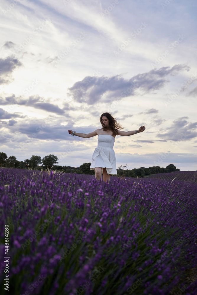Woman in a white dress walks and has fun in the lavender fields Woman in a white dress walks and has fun in the lavender fields
