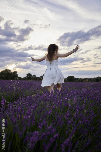 Fototapeta Naklejka Na Ścianę i Meble -  Woman in a white dress walks and has fun in the lavender fields. He's on his back with his arms raised
