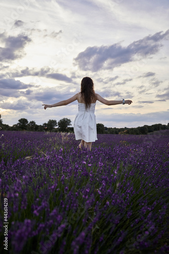 Woman in a white dress walks and has fun in the lavender fields. He's on his back with his arms raised