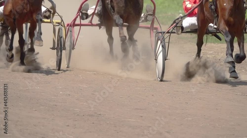 Many Horses Compete in Harness Racing on a Summer Day. Slow Motion