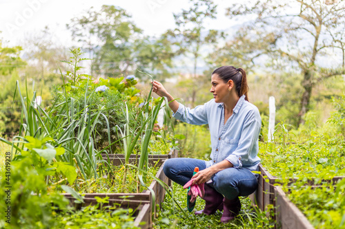 Woman taking care of plants in garden