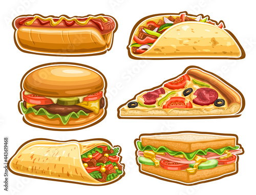 Vector Fast Food Set, lot collection of cut out illustrations tasty hot dog with mustard and ketchup, taco with ground meat, delicious cheeseburger, slice of gourmet italian pizza and wrapped shawarma