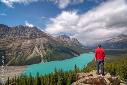 Man looking at Peyto lake on Icefields Parkway in Banff National Park, Alberta, Rocky Mountains, Canada