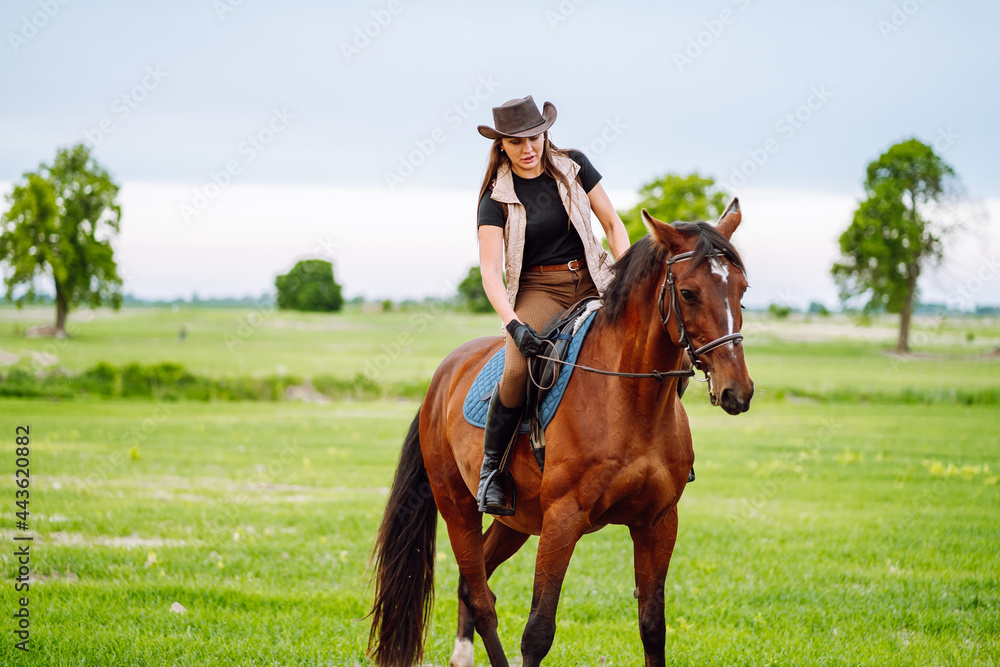 Young woman dressed in riding clothes and hat riding brown horse in green field Young woman dressed in riding clothes and hat riding brown horse in green field