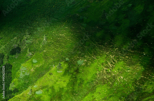 aerial photo of mountains alpine green slope in summer