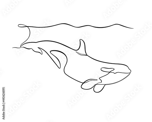 Diving orca drawn in one continuous line