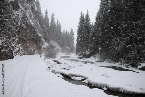 winter in the mountains