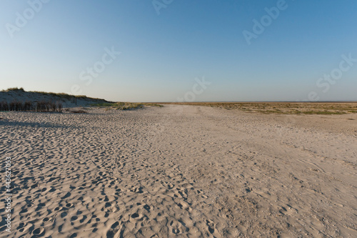 Strand van Schiermonnikoog, Beach of Schiermonnikoog