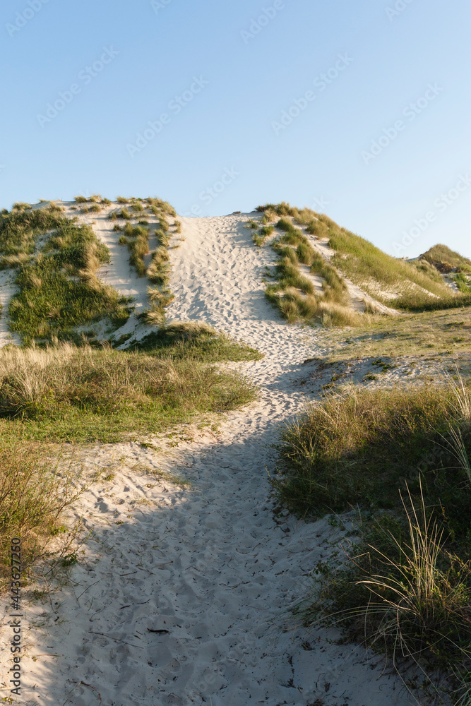 Wandelpath, Walking path Wandelpath, Walking path