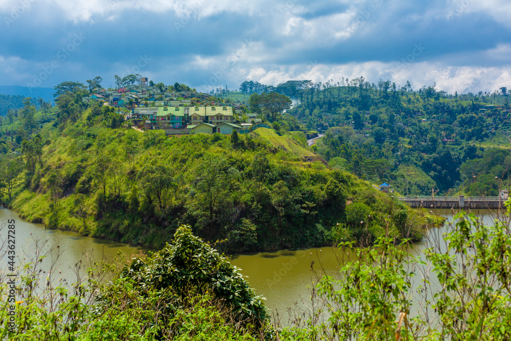 cityscape on a tropical island. City among greenery