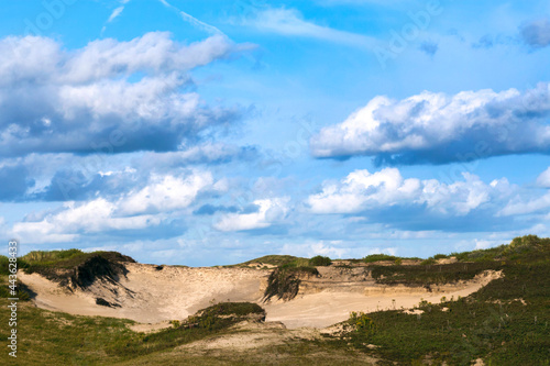 Landscape at the Noordduinen