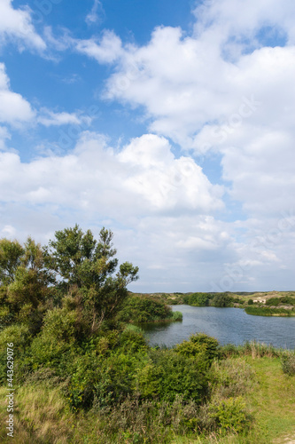 Landscape at Meijendel photo