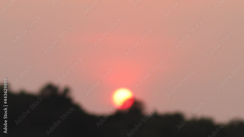 Red sunset with sun through tops of trees. Focus changing from blurred to cleared. Red sunset with sun through tops of trees. Focus changing from blurred to cleared.