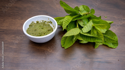 fresh herbs in a bowl
Guava leaves
Guava leaves and lemon juice paste
natural ayurvedic medicine
Guava leaves paste

