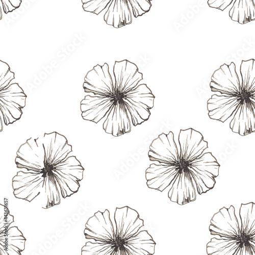 Poppy Seamless linear floral pattern on white