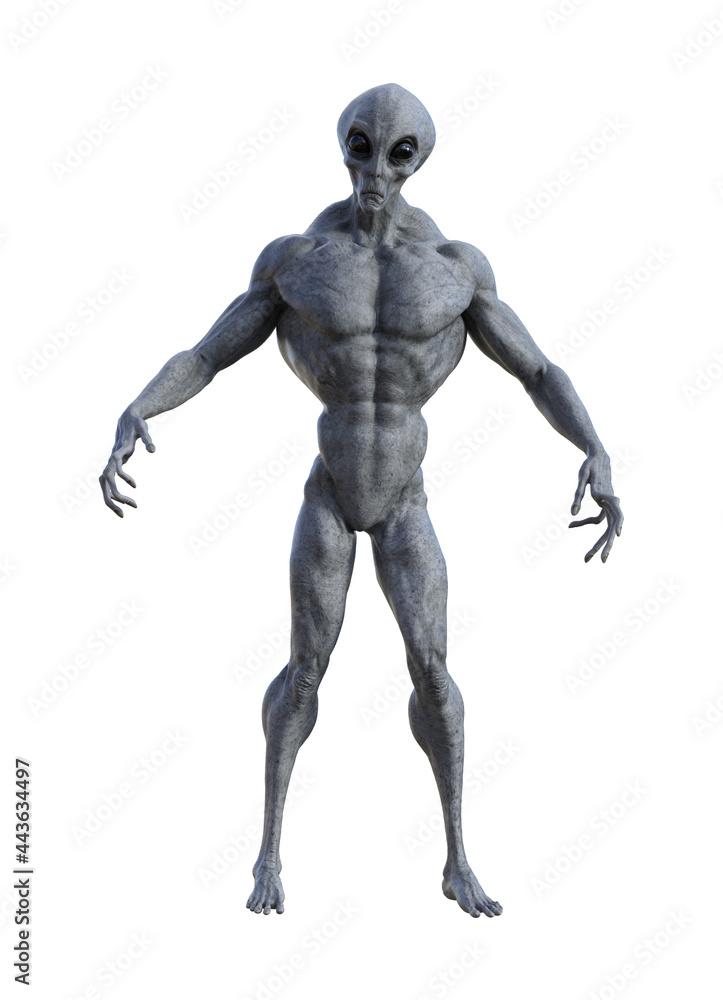 Illustration of a grey alien with muscles in a defensive pose isolated on a white background.